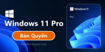 Windows 11 Pro Bản Quyền ESD - Vĩnh Viễn 1 Thiết Bị